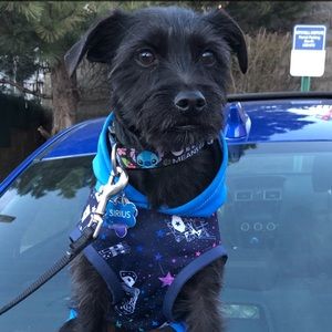 Meet your Posher, Megan